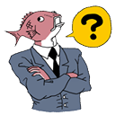 bfquestion
