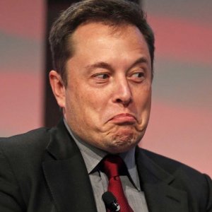 Elon Shrug