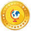 Global Tour Coin