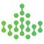 Ivy