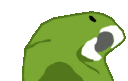 parrotdad