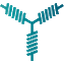 Pylon Network