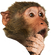 ThinkChimp