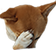 ThinkingW
